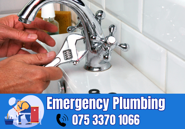  plumber Bearsted