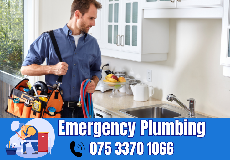  plumber Detling