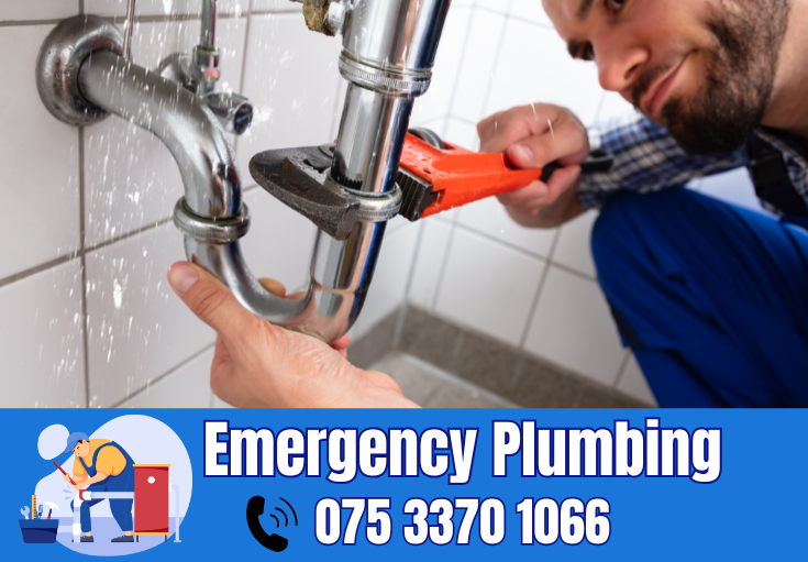  plumber Madginford