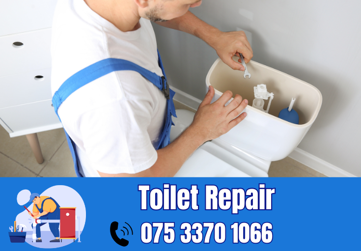 toilet repair Weavering 